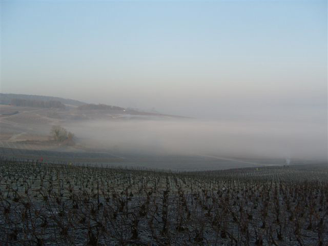 Champagne L. Albert Guichon - Viticulteur à Mardeuil, sur les coteaux d'Epernay